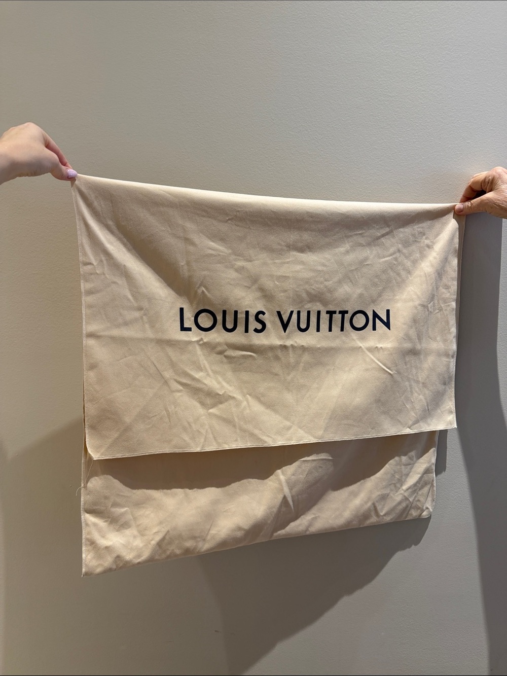 Louis Vuitton XL Dust Bag